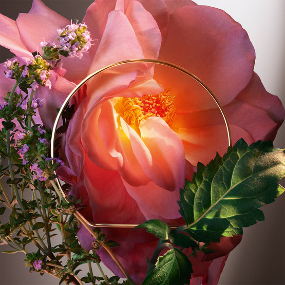 Lancome Absolue Hot As Rose - 50ml