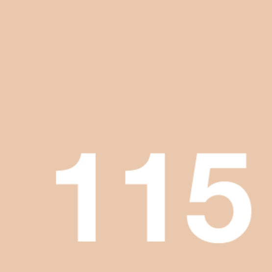 Maybelline Superstay Powder 115 - 6g