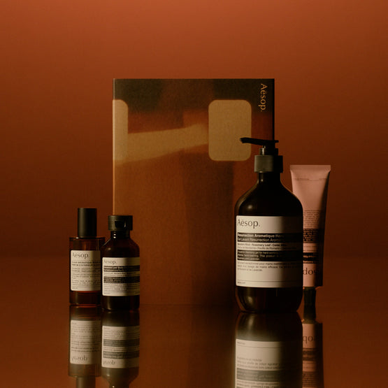 Aesop Complete Home Offering Kit